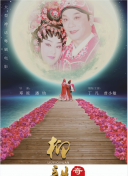 网站SEO中内容分类的动态更新及维护方法